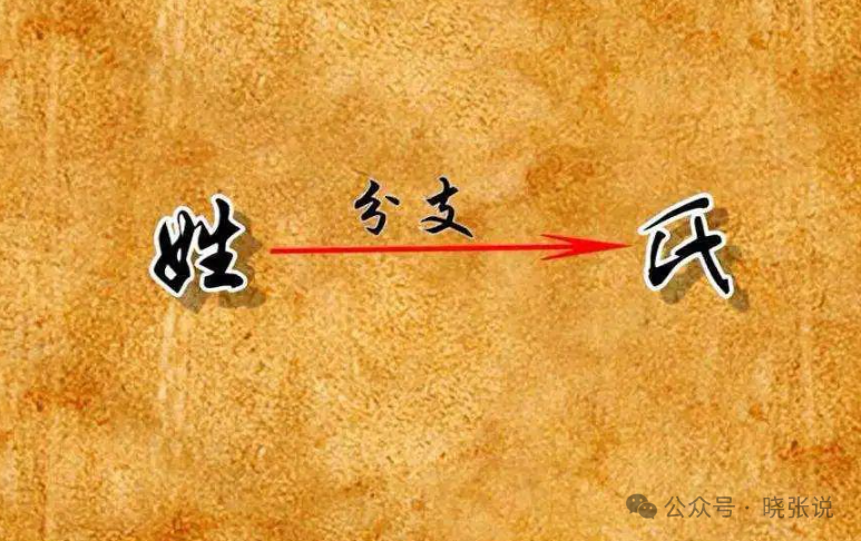 姬姓作为万姓之祖，为何今天姓姬的那么少？_腾讯新闻