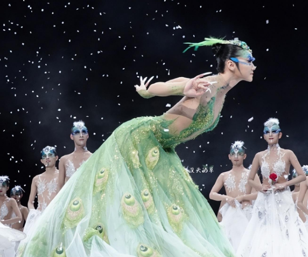 "人间精灵"杨丽萍:成也孔雀舞,"败"也孔雀舞