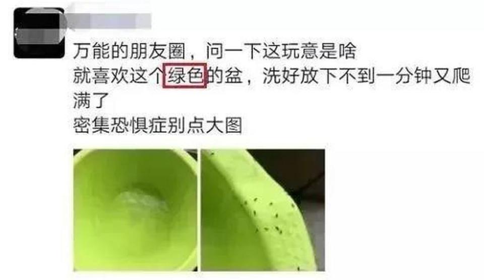 烦人小虫子又来了 今天起穿衣请调整一下_腾讯新闻