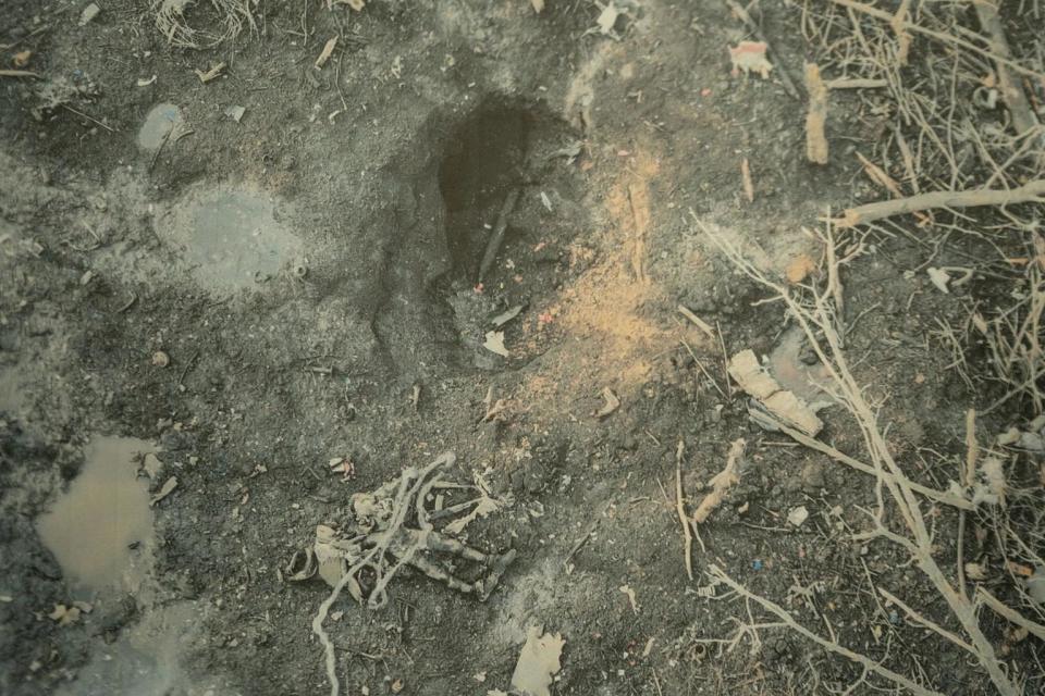 ͼƬ