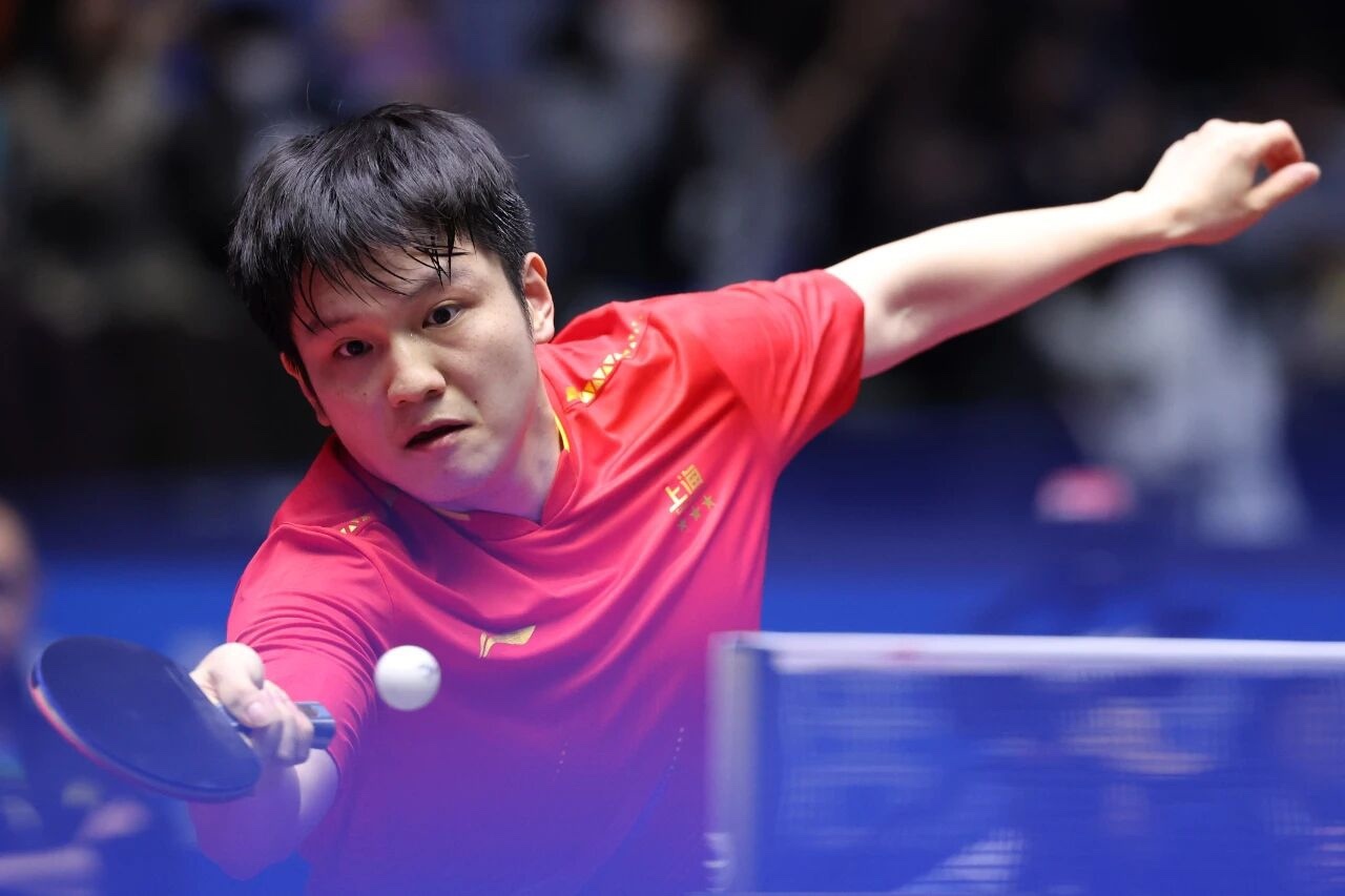 趙鴻剛羞愧？樊振東就像參加扇耳光大賽：你先扇，我扛住你就起不來了 - 