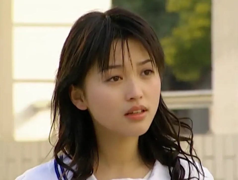 《十八岁的天空》开始的,当年凭借着"蓝菲琳"一角,金莎火遍全国,成为