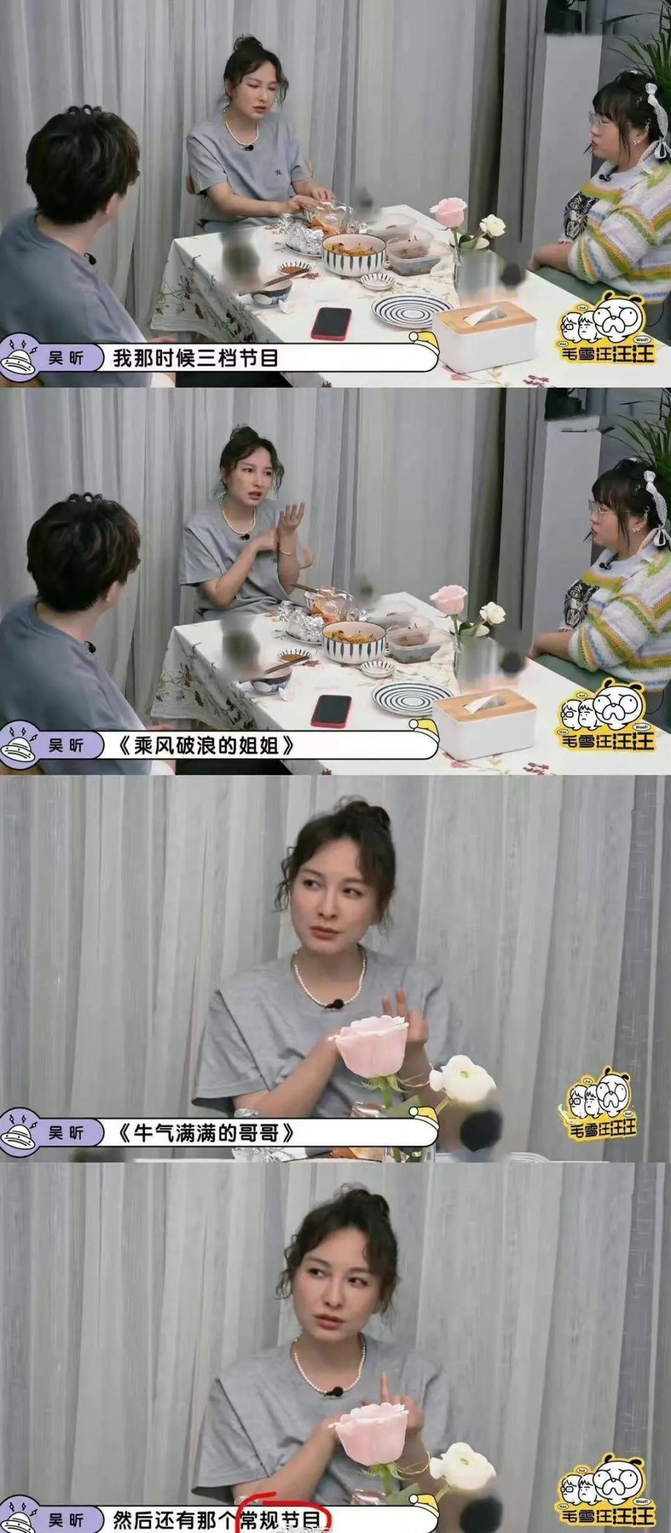 吴昕刻意回避不提,问题在停播原因上