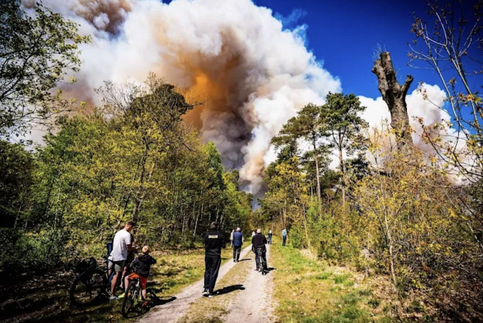 【荷蘭社情】荷蘭天氣乾燥野火不斷；阿姆斯特丹治安不寧；有市政府不設立難民收容點 - 