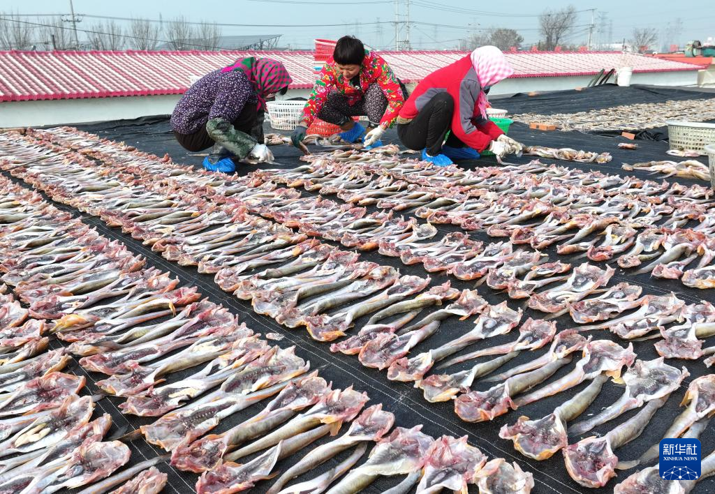 冬日海產品晾曬忙 - 