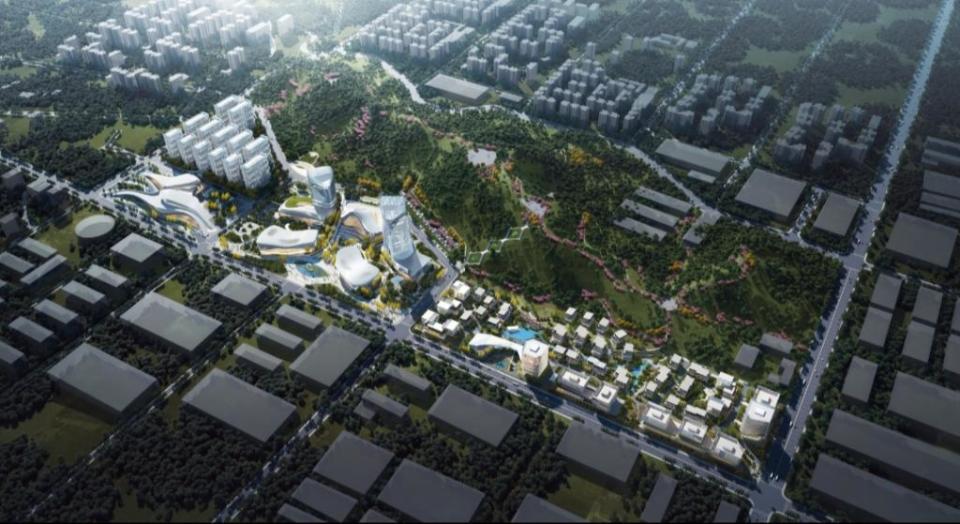 川渝高竹新区规划图.