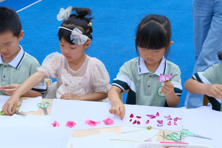 探自然之美,植物拓印创作让孩子乐享绿意时光