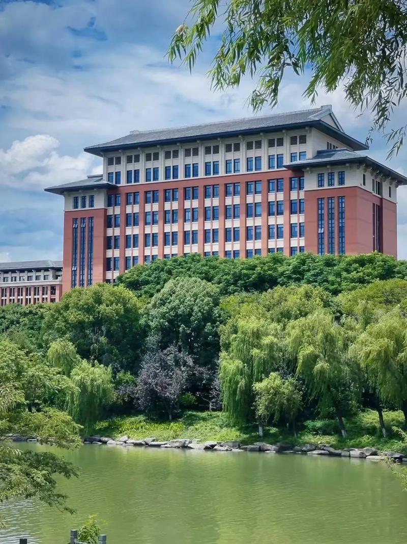 省排名较高,原因深入分析