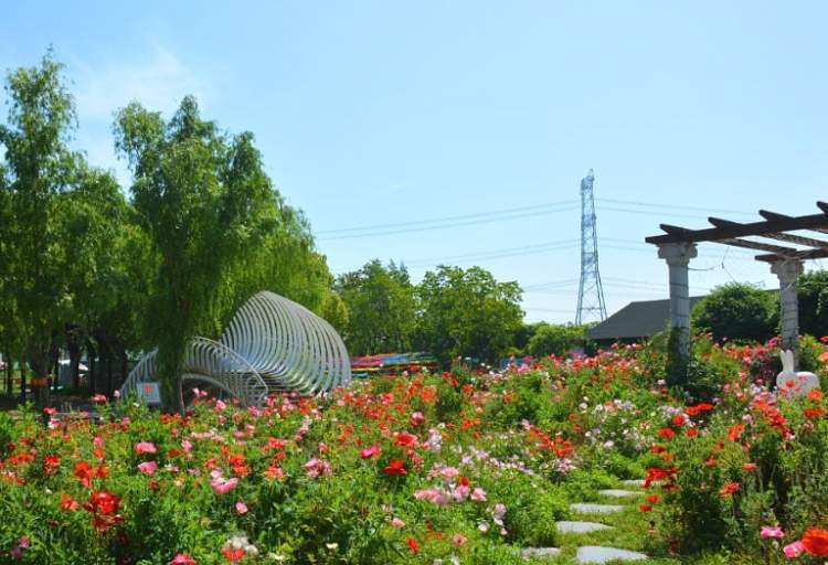 张马村将寻梦源,农情园,蓝莓园,生态园,太阳岛,"四园一岛"农事旅游点