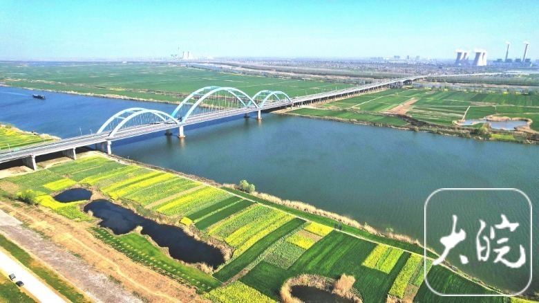 淮南淮河岸边油菜花盛开花田美如调色板