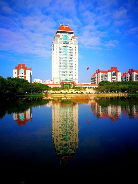 共招307人,厦门大学招生最多,清华大学,北京大学并列第二位