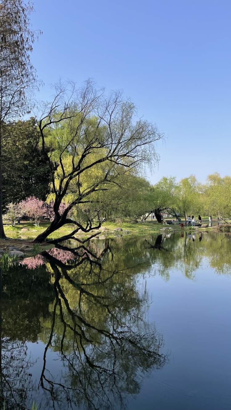上海28℃"初夏"体验卡,明天还有一天余额!
