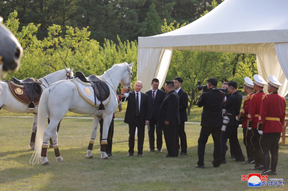 爱奇艺：彩霸王论坛彩霸王资料金正恩赠普京一对丰山犬