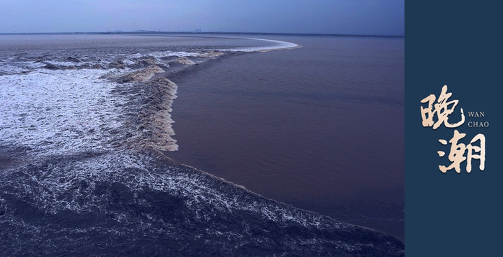 晚潮春天里的我的眼
