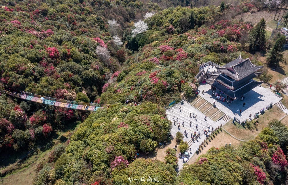 贵州这个5a景区又火了,每天人山人海,今年广东游客免费_腾讯新闻