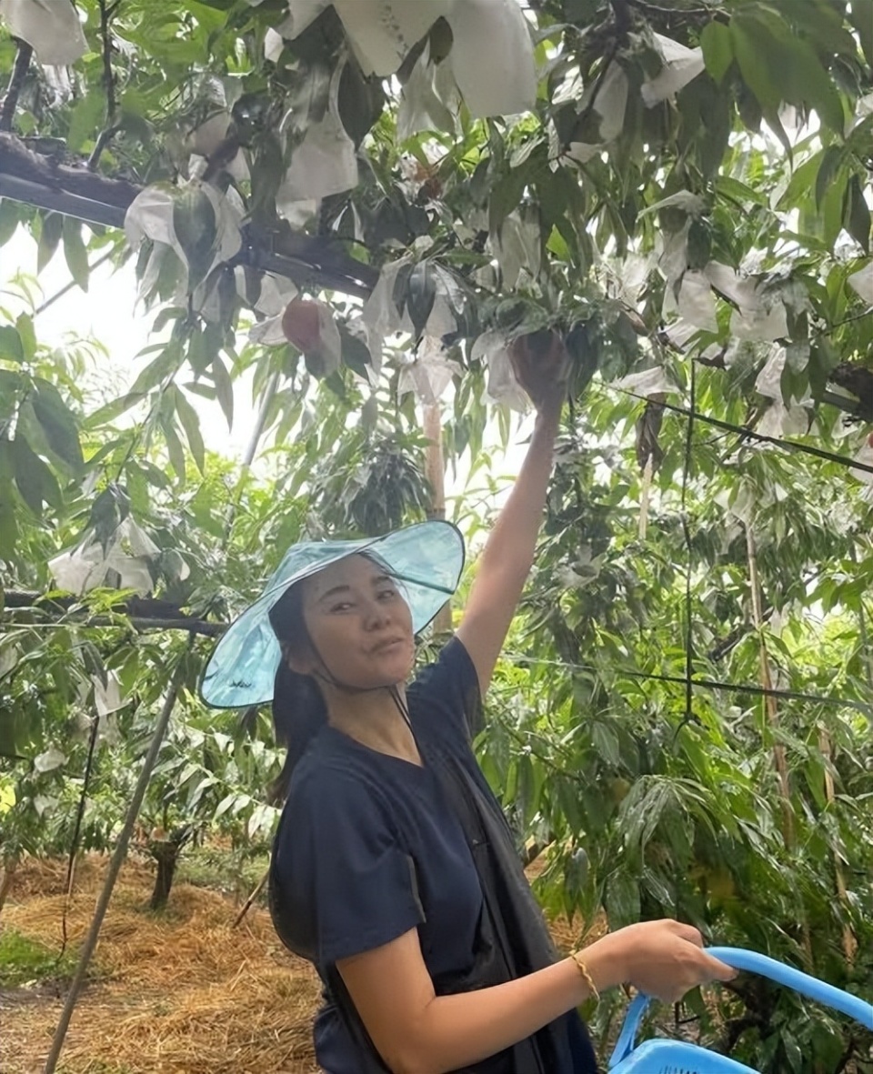 蒙嘉慧首回应移居日本：是郑伊健提议要在日本买房，否认公司倒闭