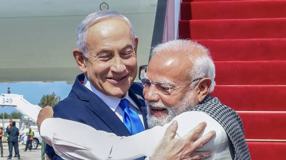 2596������������ɫ�� Ī�ϱ�ץ������