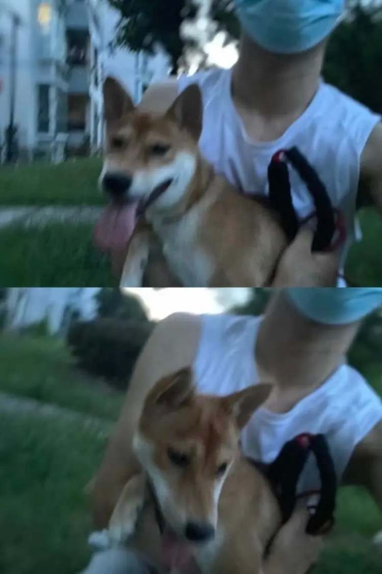 641
