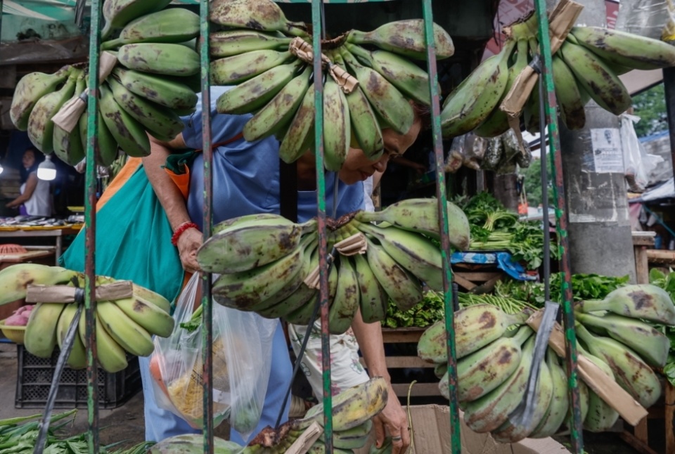 菲律宾香蕉销量锐减,仅四个月,对华销售额砍半
