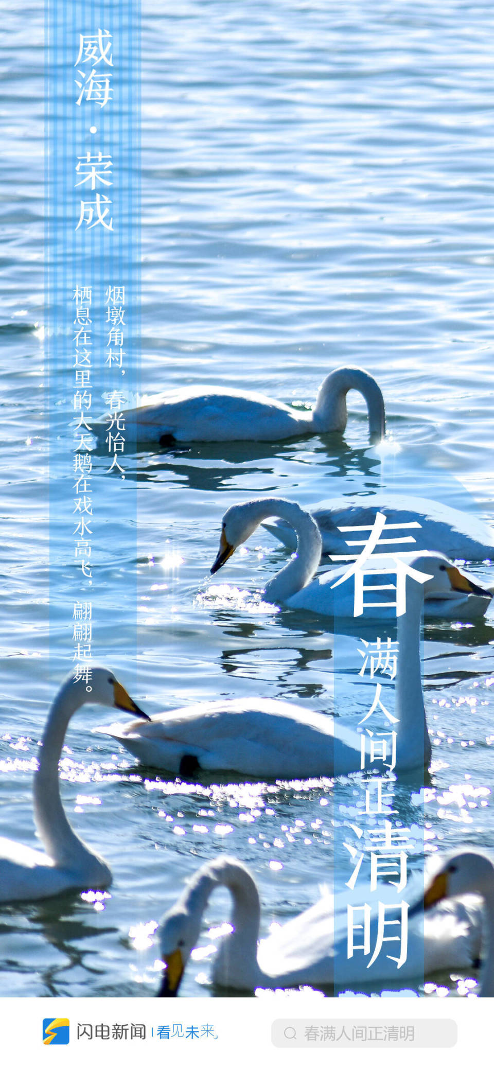 闪电海报|春满人间正清明 云游齐鲁打卡赏花
