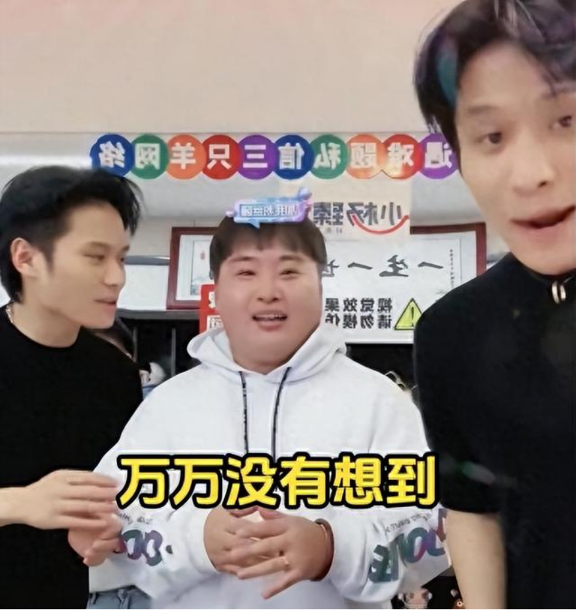 能够看到的是,过去一年里小杨哥签约了不少头部网