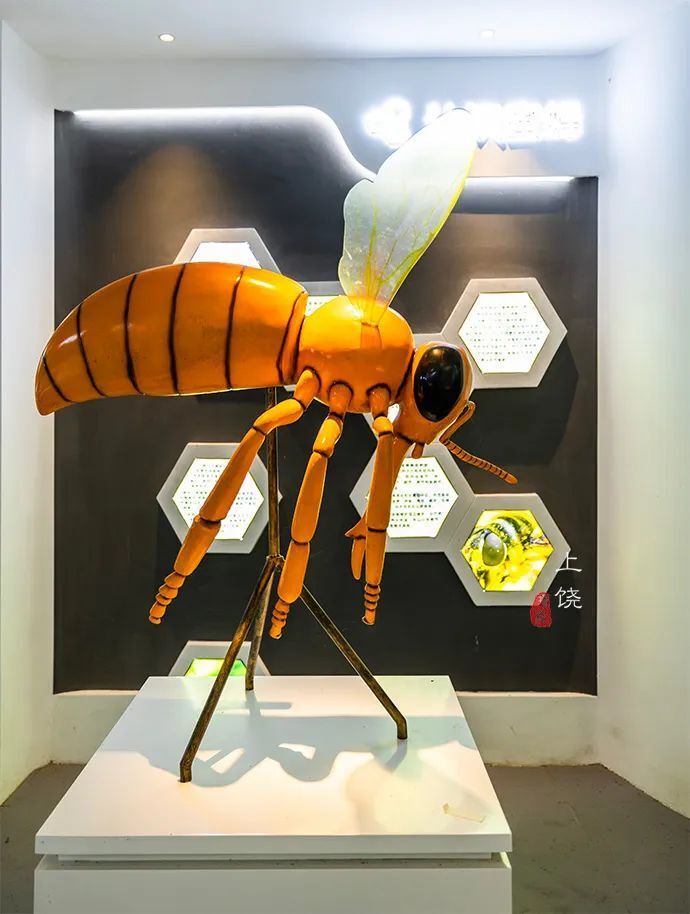 博物馆旁边是五府山大溪地营地,约上朋友一起来这山间露营很不错,五府