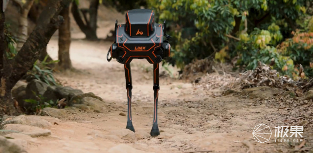 国产双足机器人新突破,野外徒步实测,神经网络实时学习