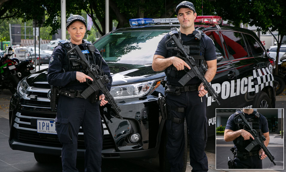 北好莱坞枪战悍匪使用五六冲抢劫银行美警紧急采购步枪