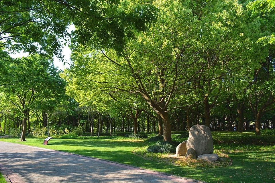 初夏的思贤公园光影