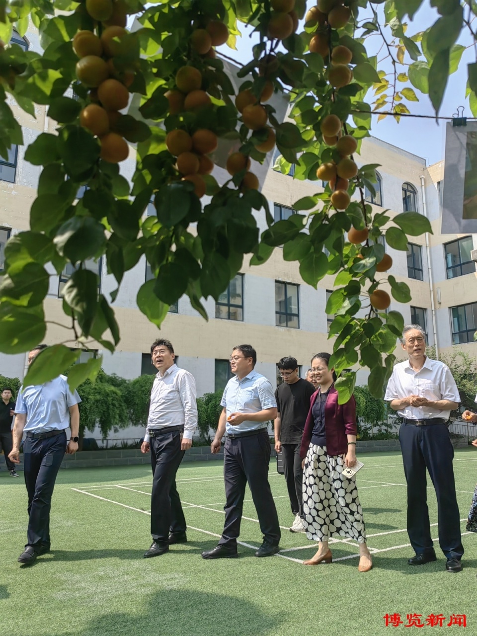 整合区域优势资源   提升劳动育人成效——博山区中小学劳动教育高
