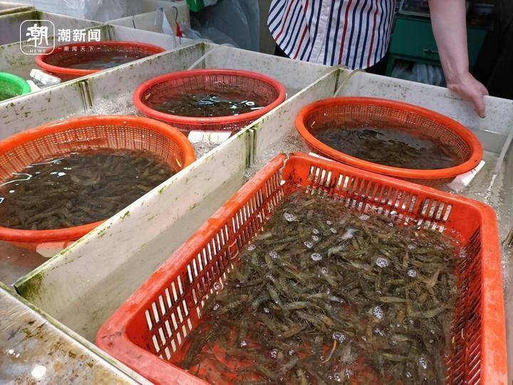 河虾季到啦!好吃又实惠,价格比去年便宜些