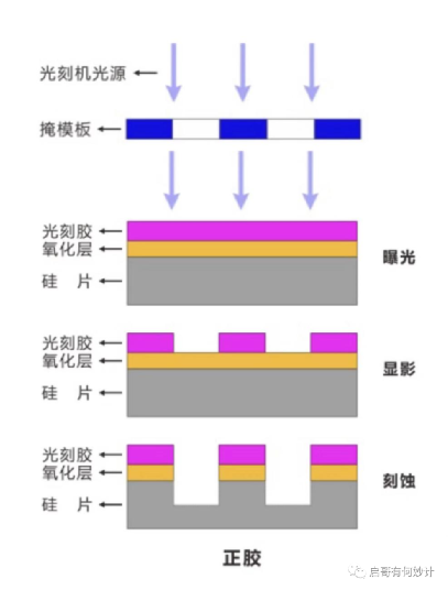 给大家科普一下六年级下册音乐书所有歌曲2023已更新(新华网/网易)v8.9.6