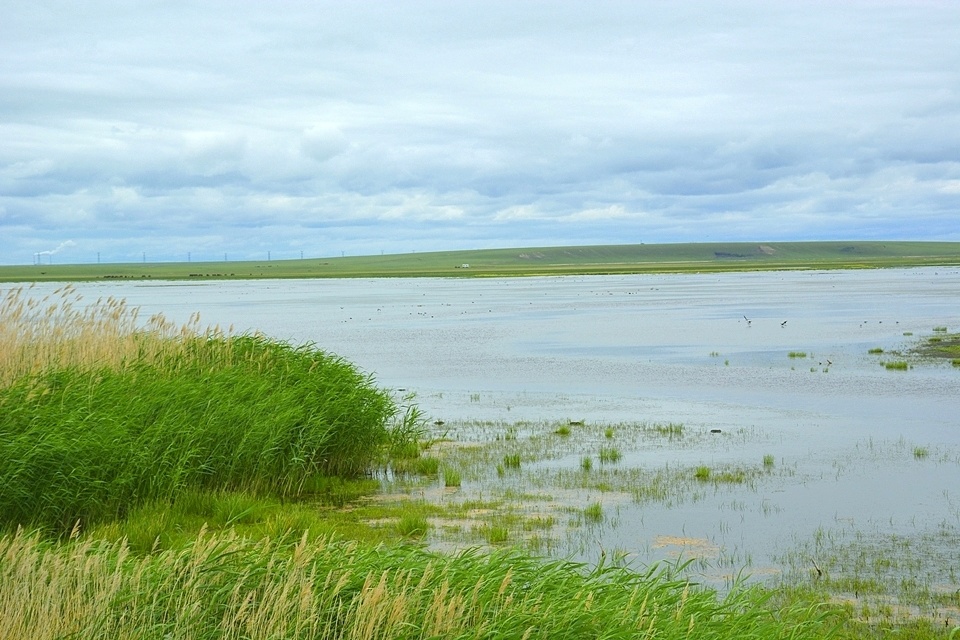 辉河湿地国家级自然保护区是呼伦贝尔保护较好的退化较小的区域.