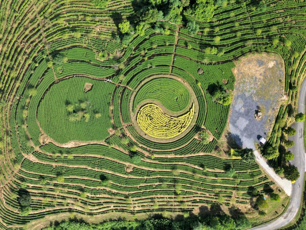 夏日避暑英德积庆里|住温泉别墅 逛万亩茶园 探仙桥地下河