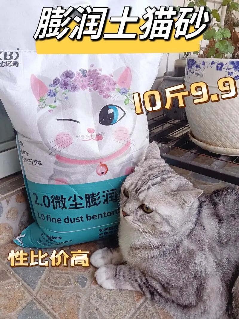 流水3個億，凈利潤只有1%！貓砂比大米還貴，為什麼就是不賺錢？ - 