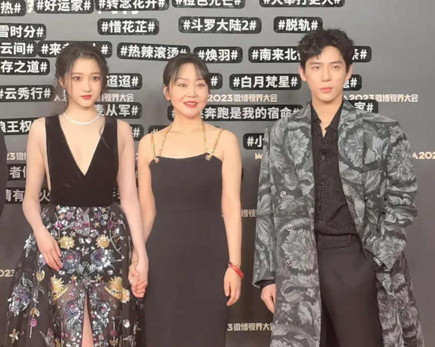 视界大会红毯生图赵露思古力娜扎用力过猛李沁杨超越显老态