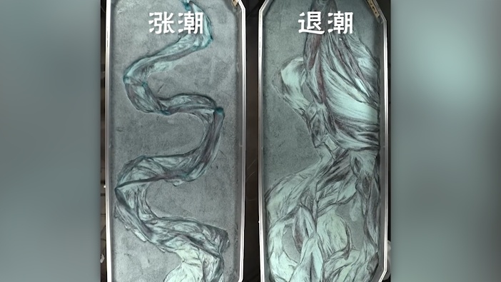 什么是“潮汐树”？潮汐反复冲刷沙滩后，神奇的现象发生了_腾讯新闻