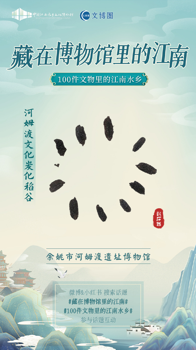 何以水乡21号文物推荐:河姆渡文化 炭化稻谷-腾讯新闻