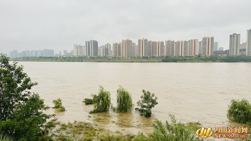 2024年首次嘉陵江洪峰过境 南充启动三级防汛应急响应
