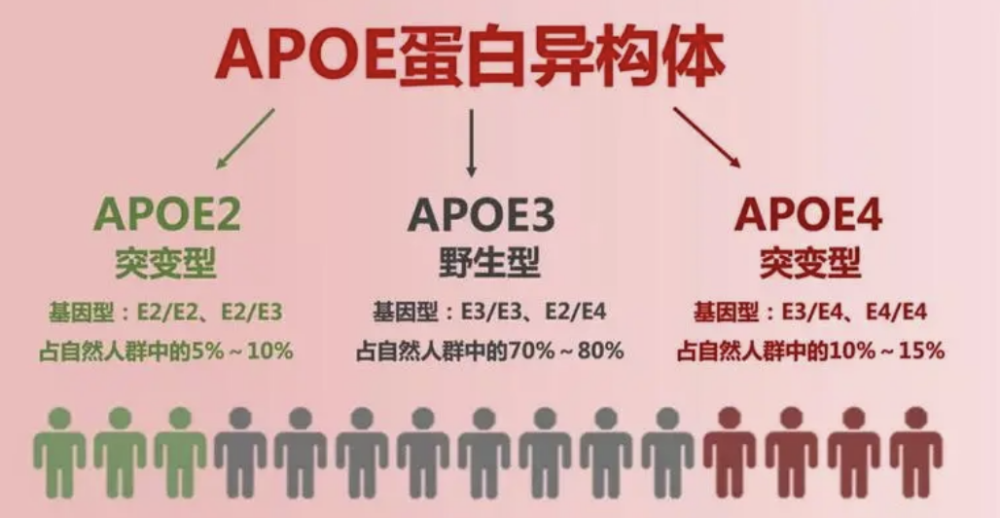 阿尔茨海默病(ad):散发性与家族性的特点_腾讯新闻