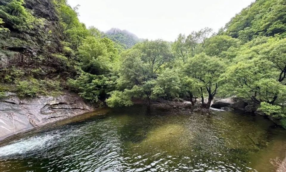 优惠继续,栾川天河大峡谷现金补贴油费,延长20天持续进行至6月10日!
