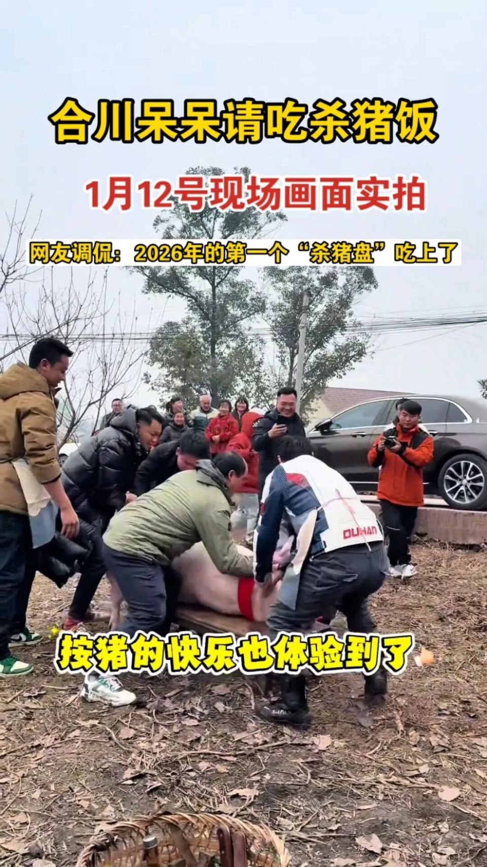 呆呆杀猪宴，流量成为新时代“屠夫”-腾讯新闻