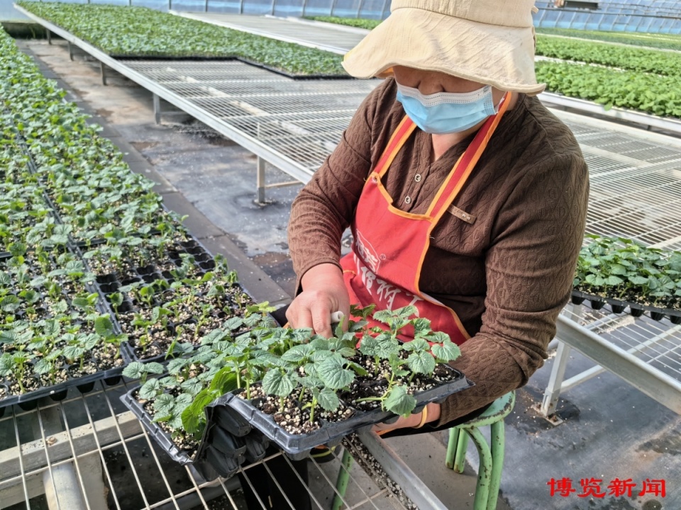 "的多元发展目标,木李镇正式启动并实施乡村振兴示范片区三年行动计划