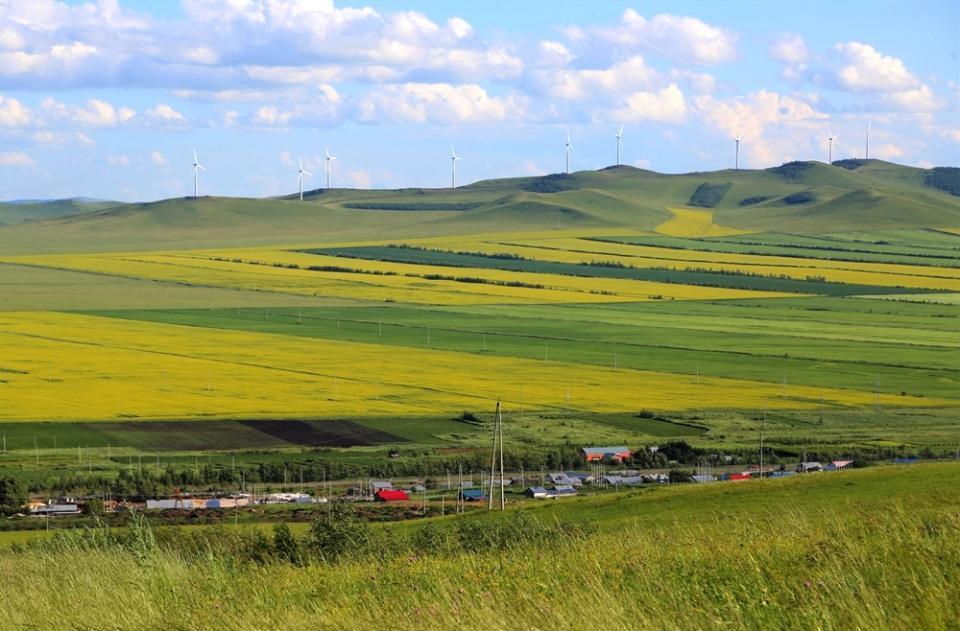 额尔古纳的湿地风光