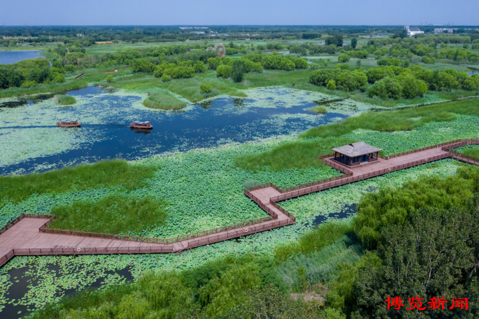 6月30日,游客乘船在高青县天鹅湖温泉慢城湿地观光.记者  刘炳友