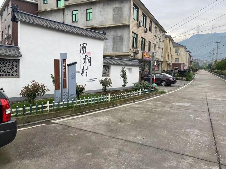 1995年凰桐村往淘湖畈造了新桥.而这之前是一座木板桥.