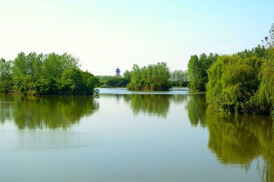 溱湖国家湿地公园图片图片