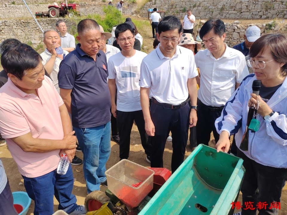 提高农民种植技术和经济效益,淄川区在西河镇举行了一场针对大豆玉米