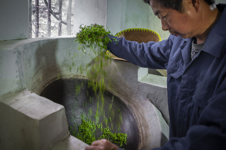 且将新火试新茶余杭径山茶邀您来品
