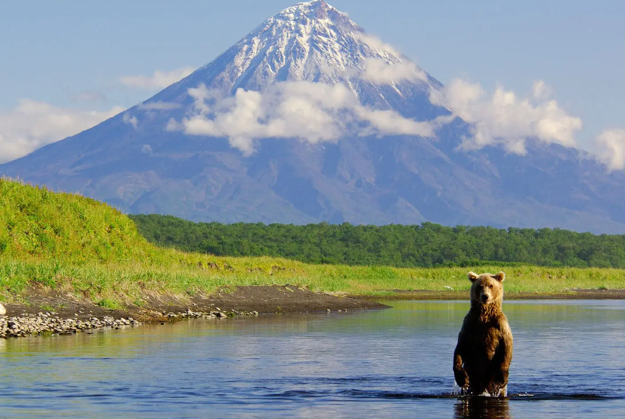 俄罗斯的精力不够向东看,这么大个远东,只能靠中国来分忧了_腾讯新闻
